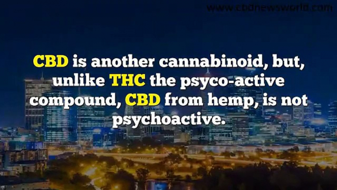 High Quality CBD Hemp Oil For Dementia