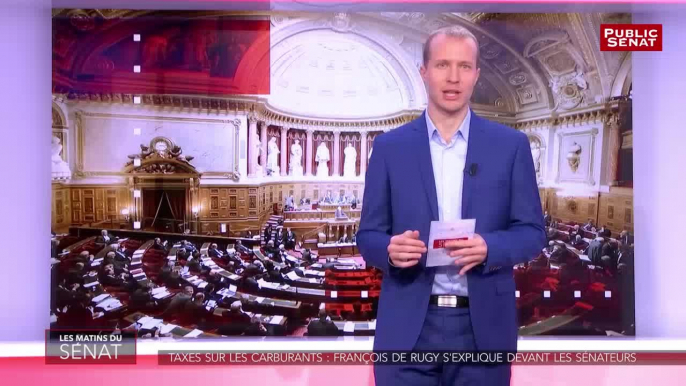 Taxes sur les carburants : François de Rugy s'explique devant le Sénat - Les matins du Sénat (12/11/2018)