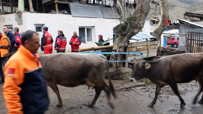 Erzurum’da ahır çöktü: 2 ölü 5 yaralı