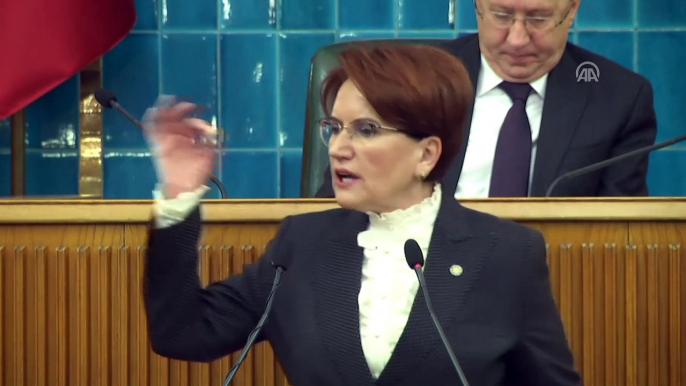 Akşener: 'Türk ve Türkiye insanlığın ortak değeridir' - TBMM