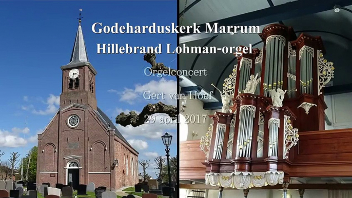 Flight of the bumblebee - Godeharduskerk Marrum - Gert van Hoef