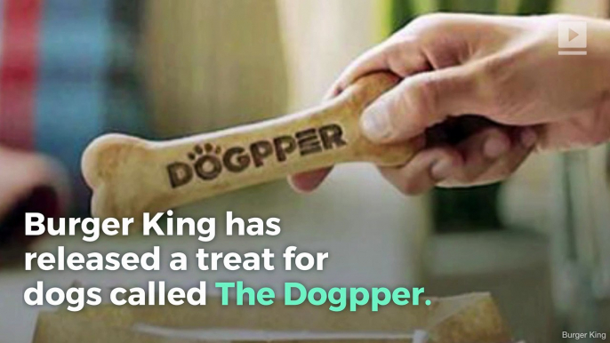 Burger King Now Has Flame-Grilled Dog Bones