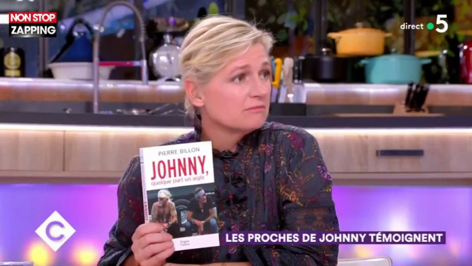 Héritage Johnny Hallyday : Pour Pierre Billon "c'est Johnny qui a pris ces décisions" pas Laeticia (vidéo)