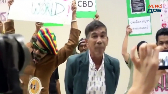 Thailand's Cannabis Crusaders. Admirable or Reckless?