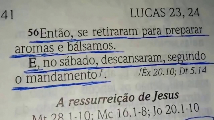 Discípulos Ensinaram e Observaram a Lei no NT?