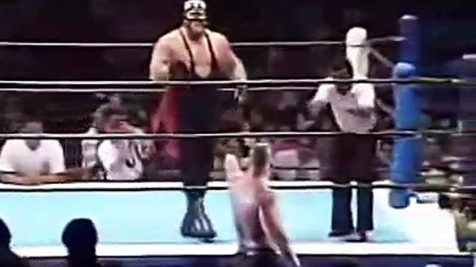 Big Van Vader vs. Tony Halme