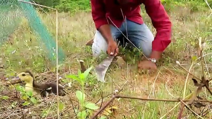 Primitive Technology Awesome Quick Python Snake Trap Using Metal Net u0026 Deep Hole That Work 100%