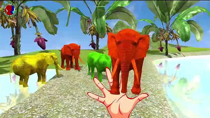 Elephant Finger Elephant Finger Where Are You Song For Childrens ## || kids rhymes toon animals