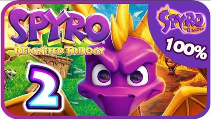 Spyro Reignited Trilogy  100%  Spyro 1 Walkthrough Part 2 (PS4, XB1) Peace Keepers