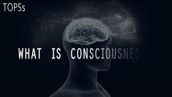 What is Reality? | 5 Things We Still Don't Understand About The Human Brain...