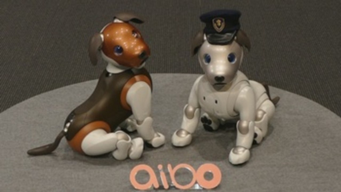 Sony presenta una versión "policía" de su perro-robot Aibo