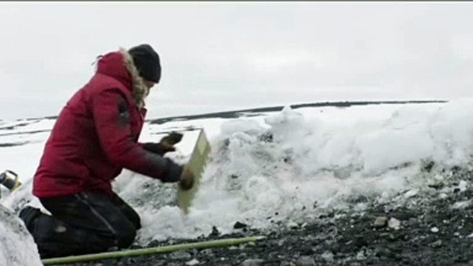 Arctic: Movie Clip - SOS