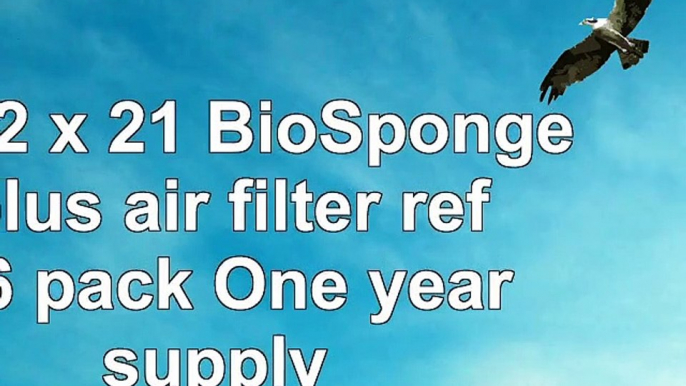 20 12 x 21 BioSponge plus air filter refill 6 pack One year supply