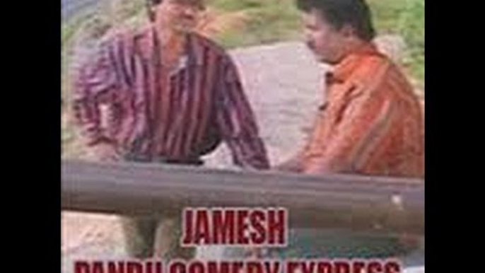 Full Kannada Movie 2010 | James Pandu Comedy Express | Om Prakash Rao, Avinash.