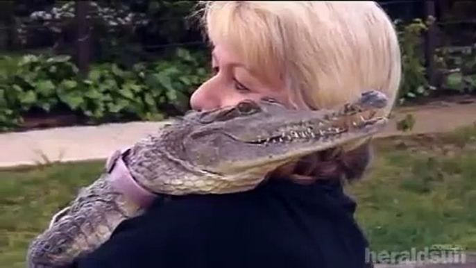 Elle promène son crocodile en laisse comme un chien