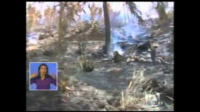 141 hectáreas de bosques se quemaron en lo que va del año en Azuay