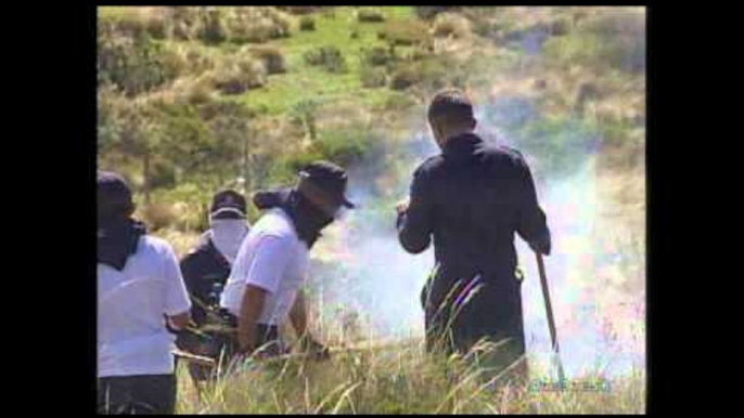 Incendio consumió 60 hectáreas de pajonales en Quito