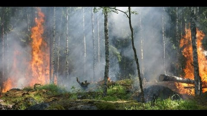 Emergencia en Cuenca por incendio cerca del Parque Nacional Cajas - Teleamazonas