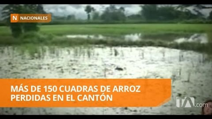 Invierno afecta más de dos mil hectáreas de cultivos - Teleamazonas