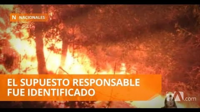 Incendio forestal consumió varias hectáreas en “El Trébol” - Teleamazonas