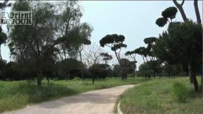 Le Bois des Pins, histoire du poumon vert de Beyrouth 1/2 - OLJ