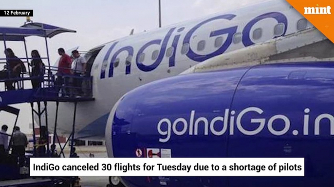 IndiGo cancels 30 flights due to shortage of pilots