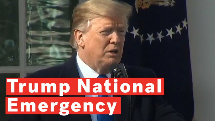 Donald Trump Declares National Emergency To Get Border Wall Funding