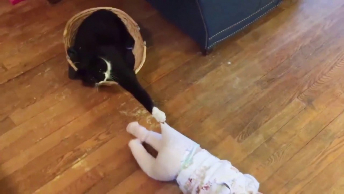 Baby and Cat Fun and Fails - Funny Cats Video