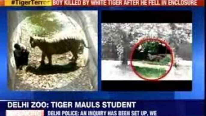 A class 12th student is killed by white tiger in Zoo