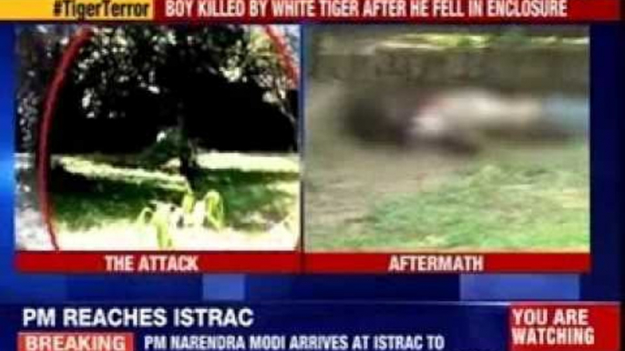 A class XII student is killed by white tiger in zoo