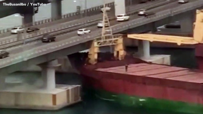 Cargo Ship With 'Drunk' Russian Captain Crashes Into South Korean Highway Bridge