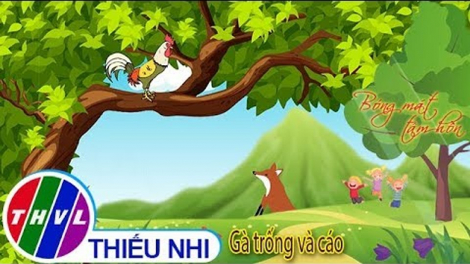 THVL | Bóng mát tâm hồn: Gà trống và cáo