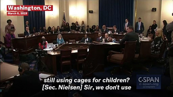 CBP 'Never Purposefully Put' Migrant Children In Cages, Nielsen Testifies Drawing Air Cage With Hands