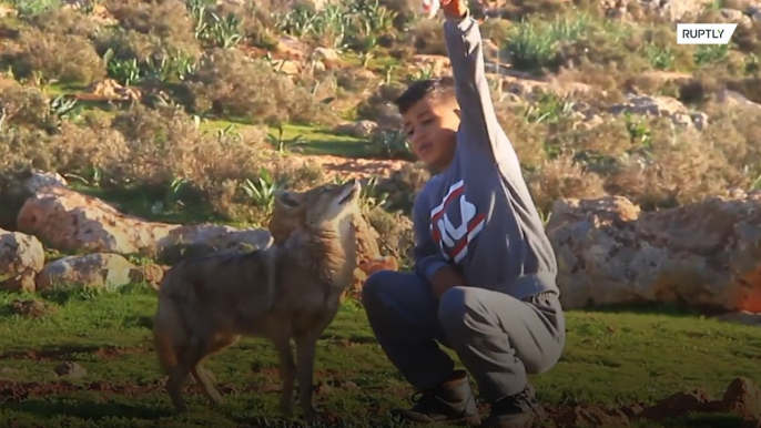 ¿Poner al lobo a cuidar de las ovejas? ¡En este caso ha funcionado!