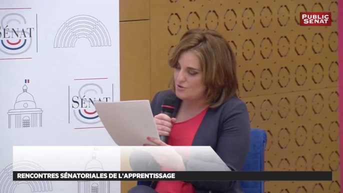 Les rencontres sénatoriales de l'apprentissage - Les matins du Sénat (15/03/2019)