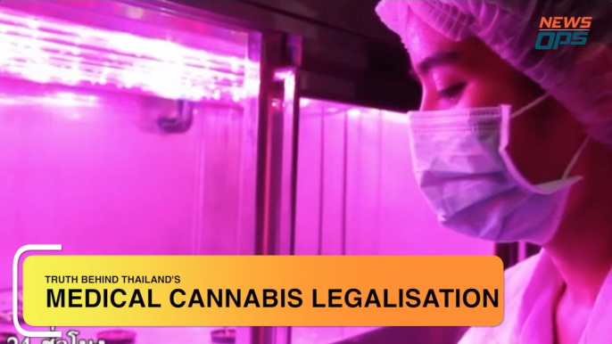 Medical Cannabis Legalisation in Thailand