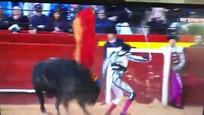 Toro le da una Cornada a Torero Enrique Ponce