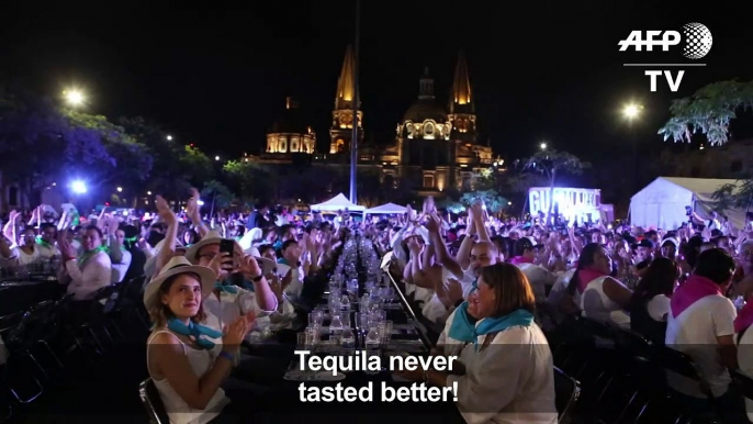 World's largest tequila tasting enters Guinness book of records