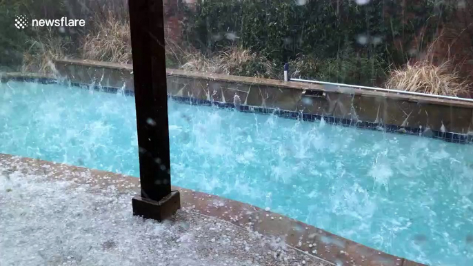 "Golf ball-sized hail" makes North Texas pool look like frenzy of piranhas