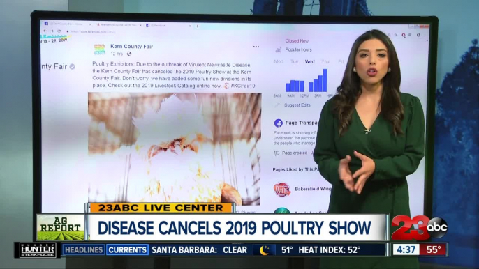 Kern County Fair cancels 2019 Poultry Show due to disease outbreak