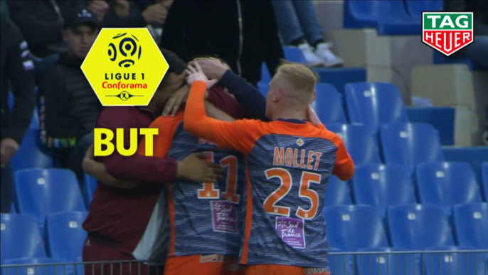 But Andy DELORT (22ème) / Montpellier Hérault SC - EA Guingamp - (2-0) - (MHSC-EAG) / 2018-19