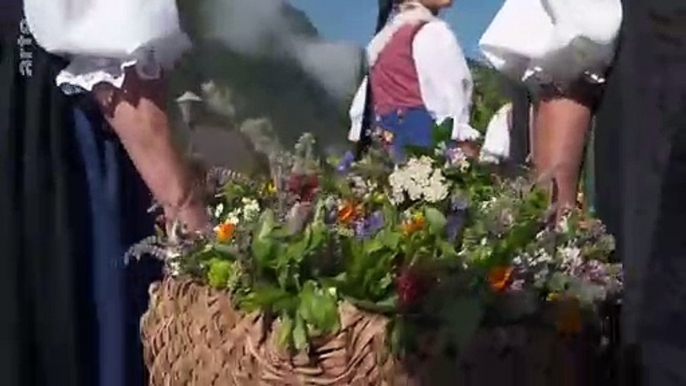 Survivance de la fête païenne des plantes dans les Alpes autrichiennes