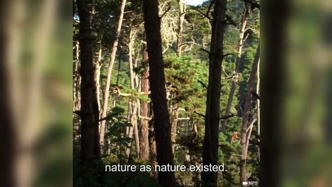 Restoring The Marine Wilderness Of Point Reyes National Seashore