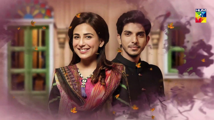 Mujhay Tum Pasand Ho E 4 Promo Choti Choti Batain HUM TV Drama - 21st April 2019