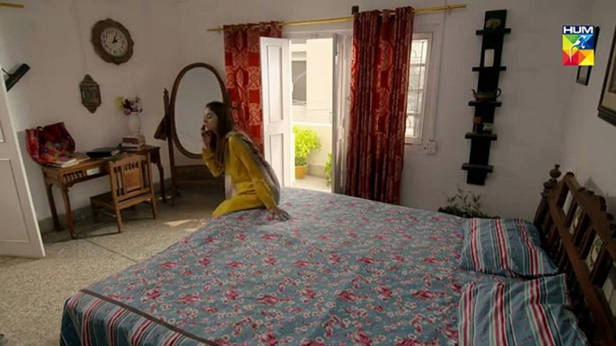 Mere Humdam E14 HUM TV Drama  - 30 April 2019