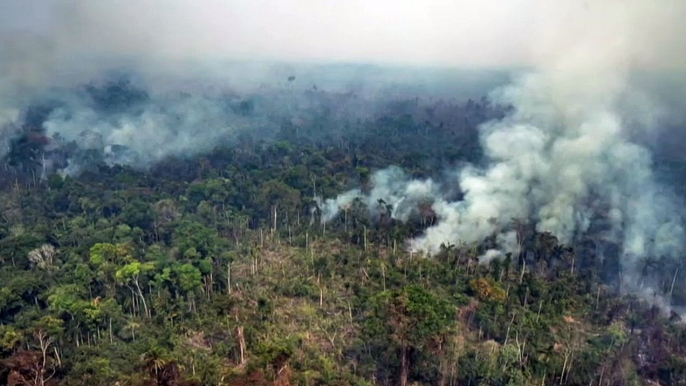 Forças Armadas iniciam combate a incêndios na Amazônia