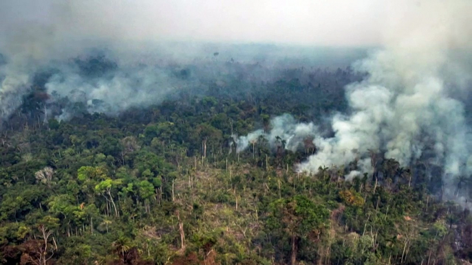 Forças Armadas iniciam combate a incêndios na Amazônia