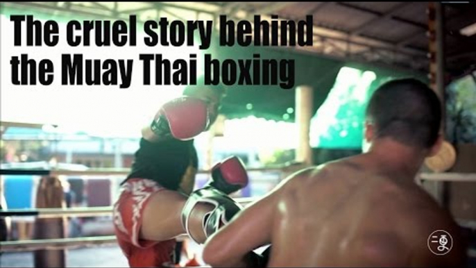 [Sport] The cruel story behind the Muay Thai boxing  | More China