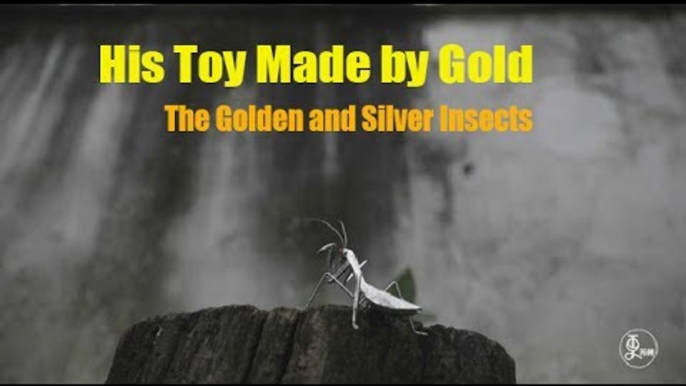 His Toy Made by Gold -The Golden and Silver Insects | More China