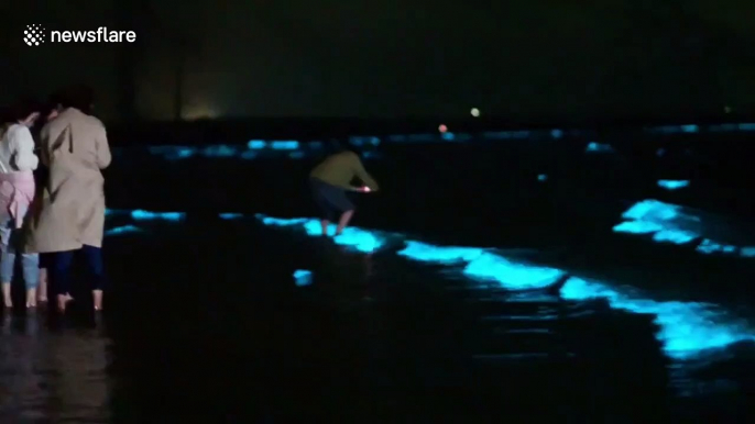 Luminous 'blue tears' phenomenon lights up waters on Chinese beach